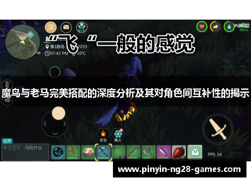 魔鸟与老马完美搭配的深度分析及其对角色间互补性的揭示