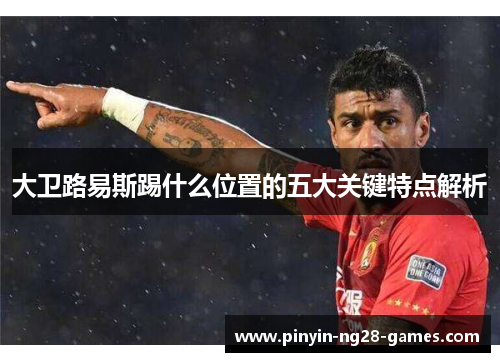 大卫路易斯踢什么位置的五大关键特点解析 大卫路易斯踢什么位置的五大关键特点解析