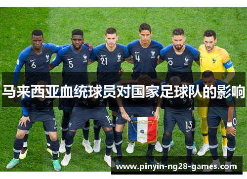 马来西亚血统球员对国家足球队的影响