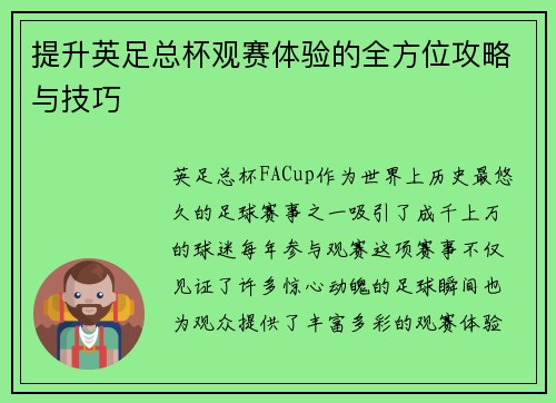 提升英足总杯观赛体验的全方位攻略与技巧